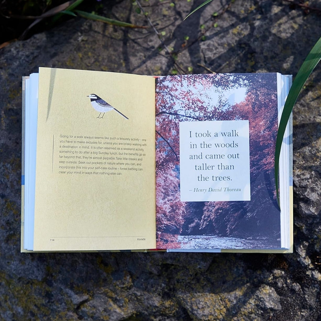 A Little Book of Japanese Contentments