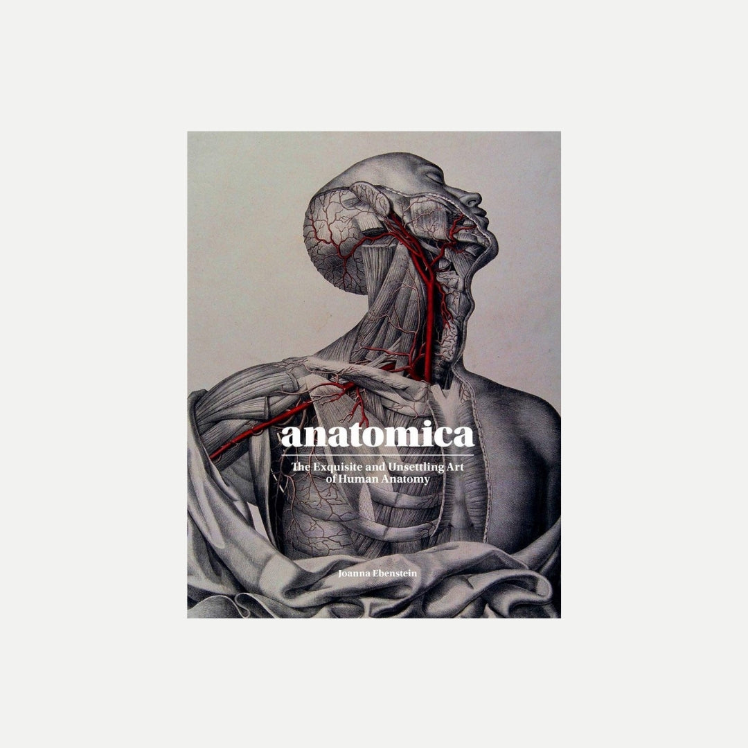Anatomica