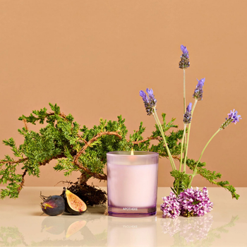 Hinoki Lavender Petite Candle