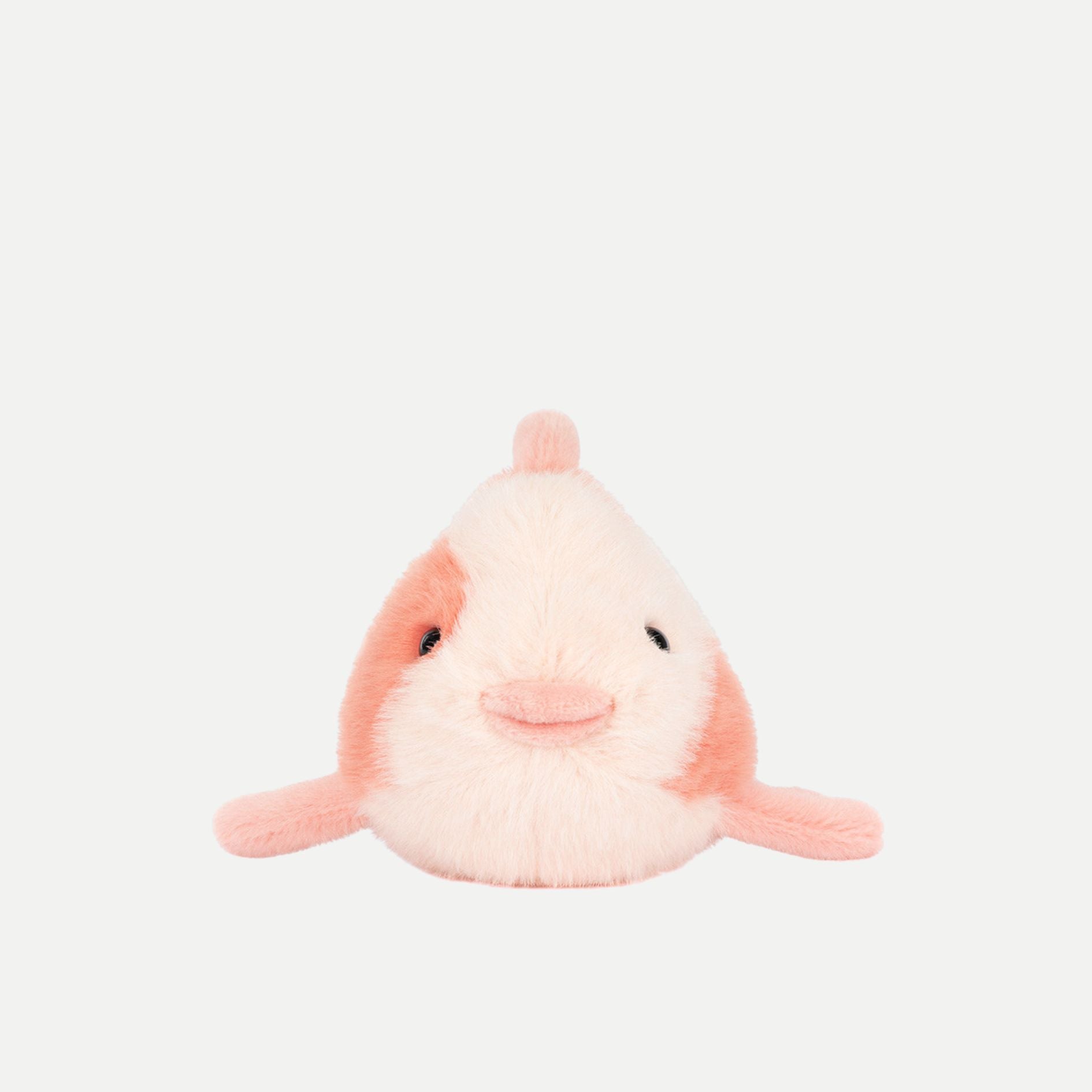 Fancy Carp