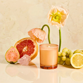 Sea Salt Grapefruit Petite Candle