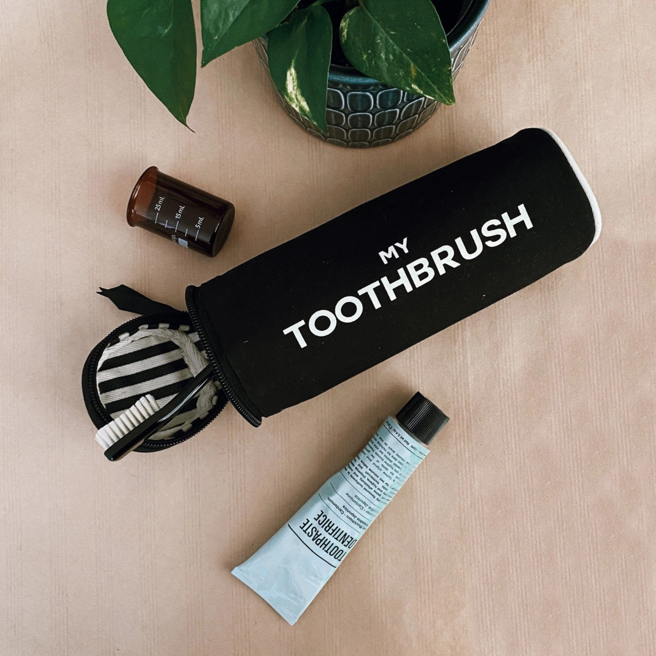 Toothbrush Travel Case - Black