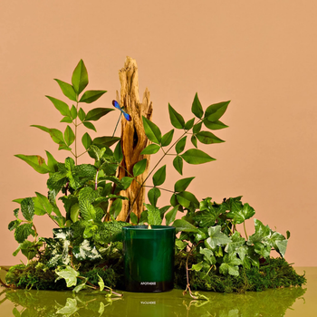 Verdant Garden Petite Candle