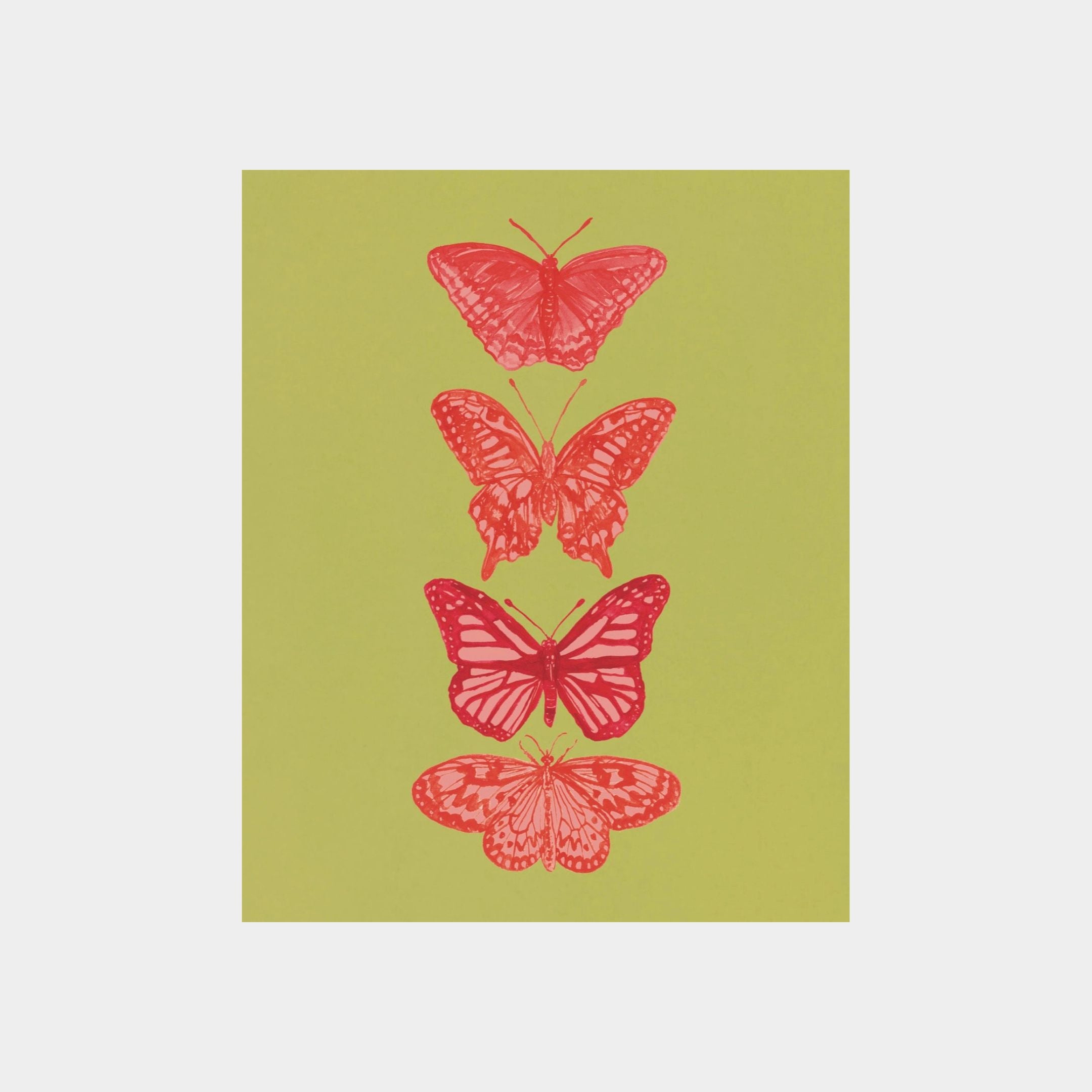 Pink and Green Butterfly Fine Art Print