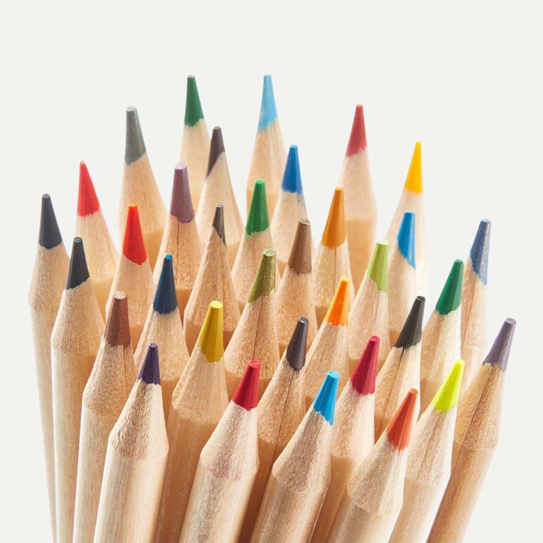 Studio Colored Pencils Set - Soft Core - 24 Colors