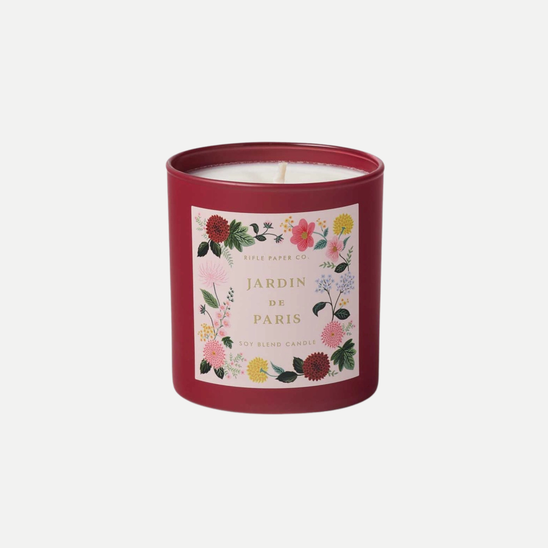 Dahlia Jardin De Paris