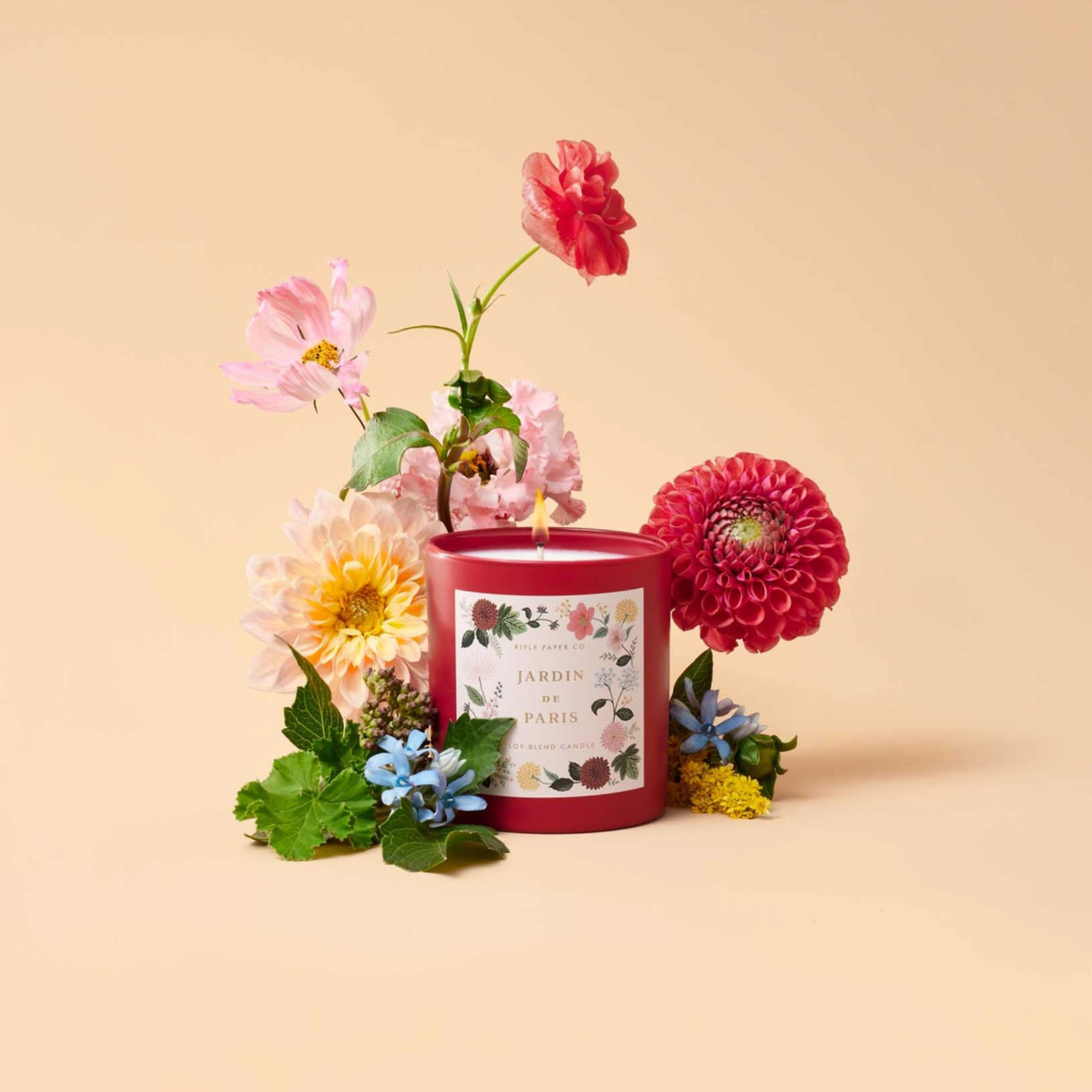 Dahlia Jardin De Paris