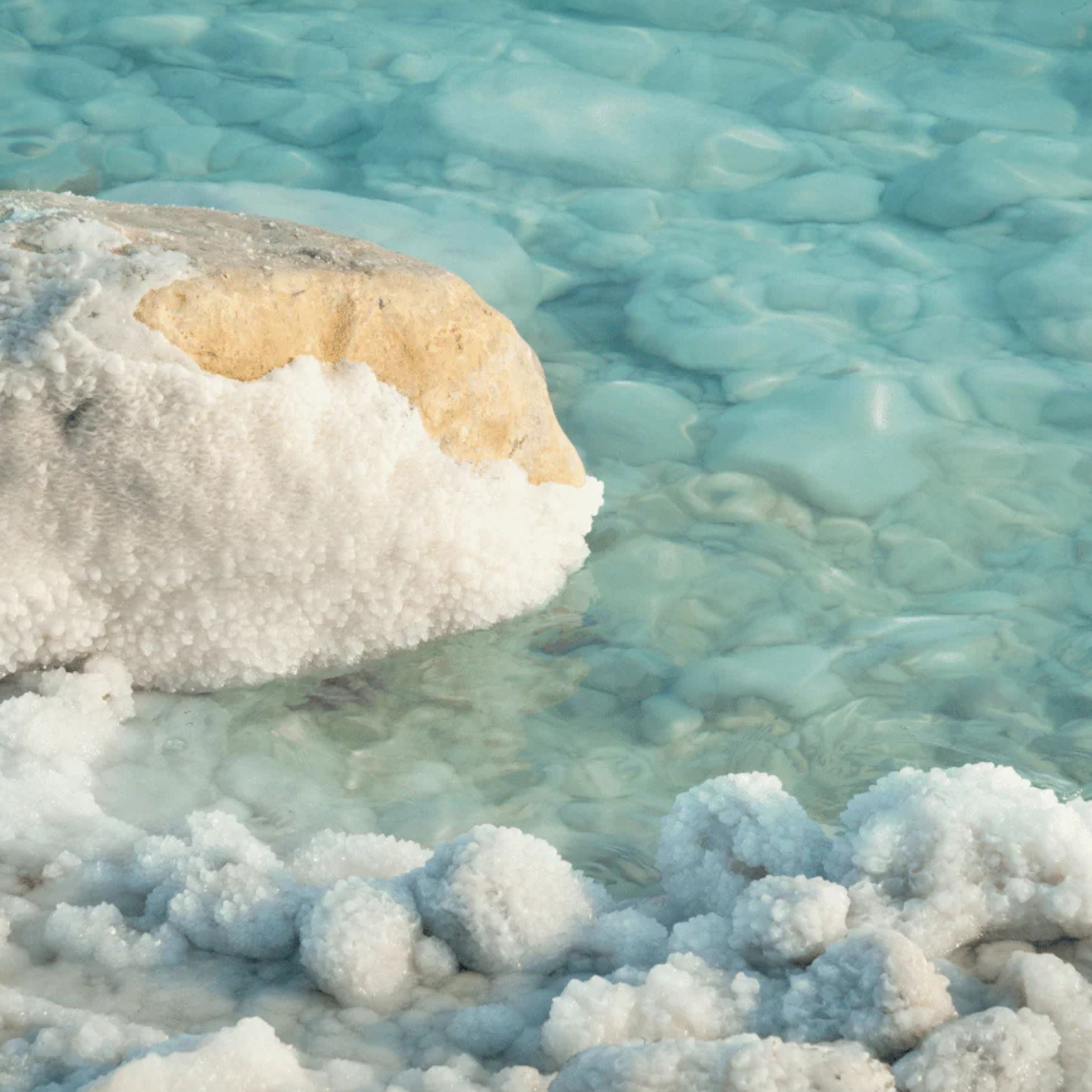 Sea Salt Grapefruit Lotion