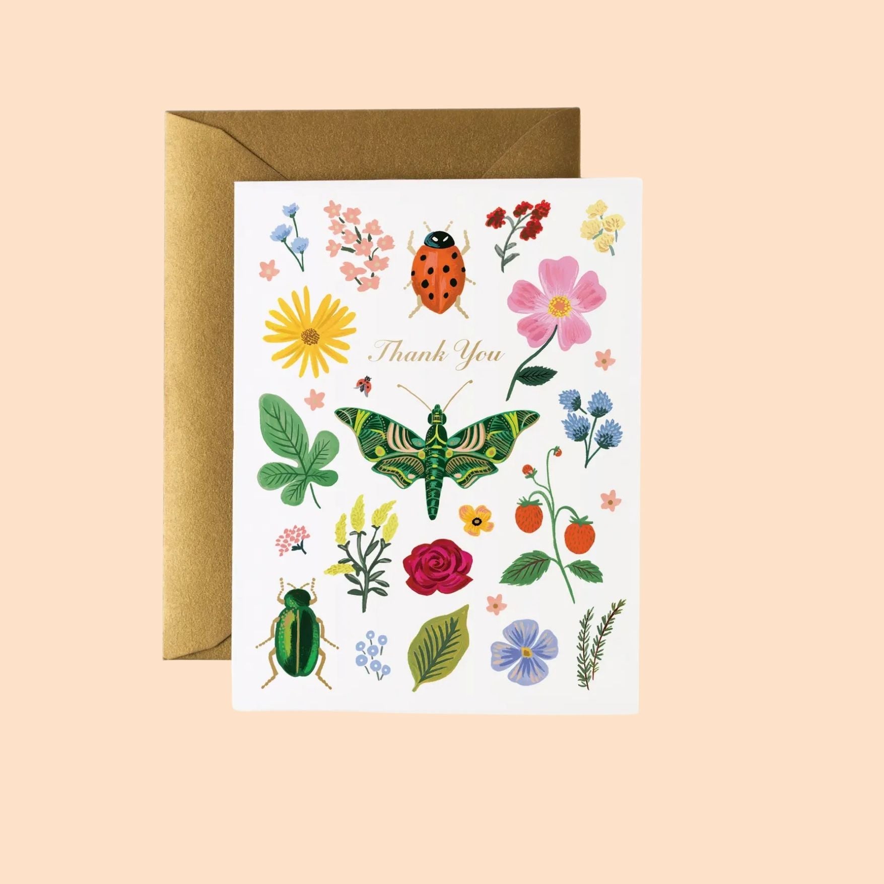 Curio Thank You Card