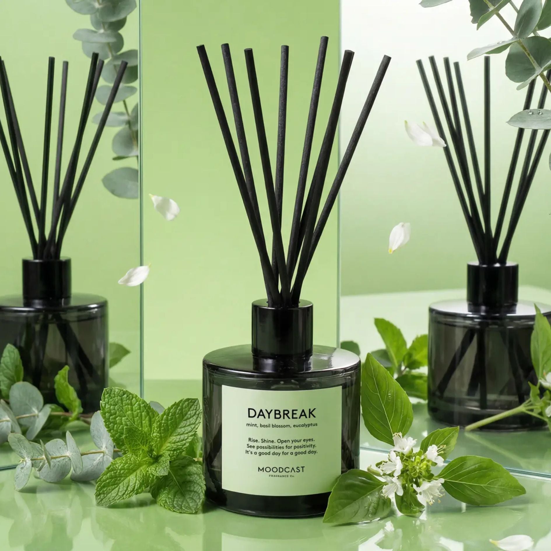 Daybreak Diffuser