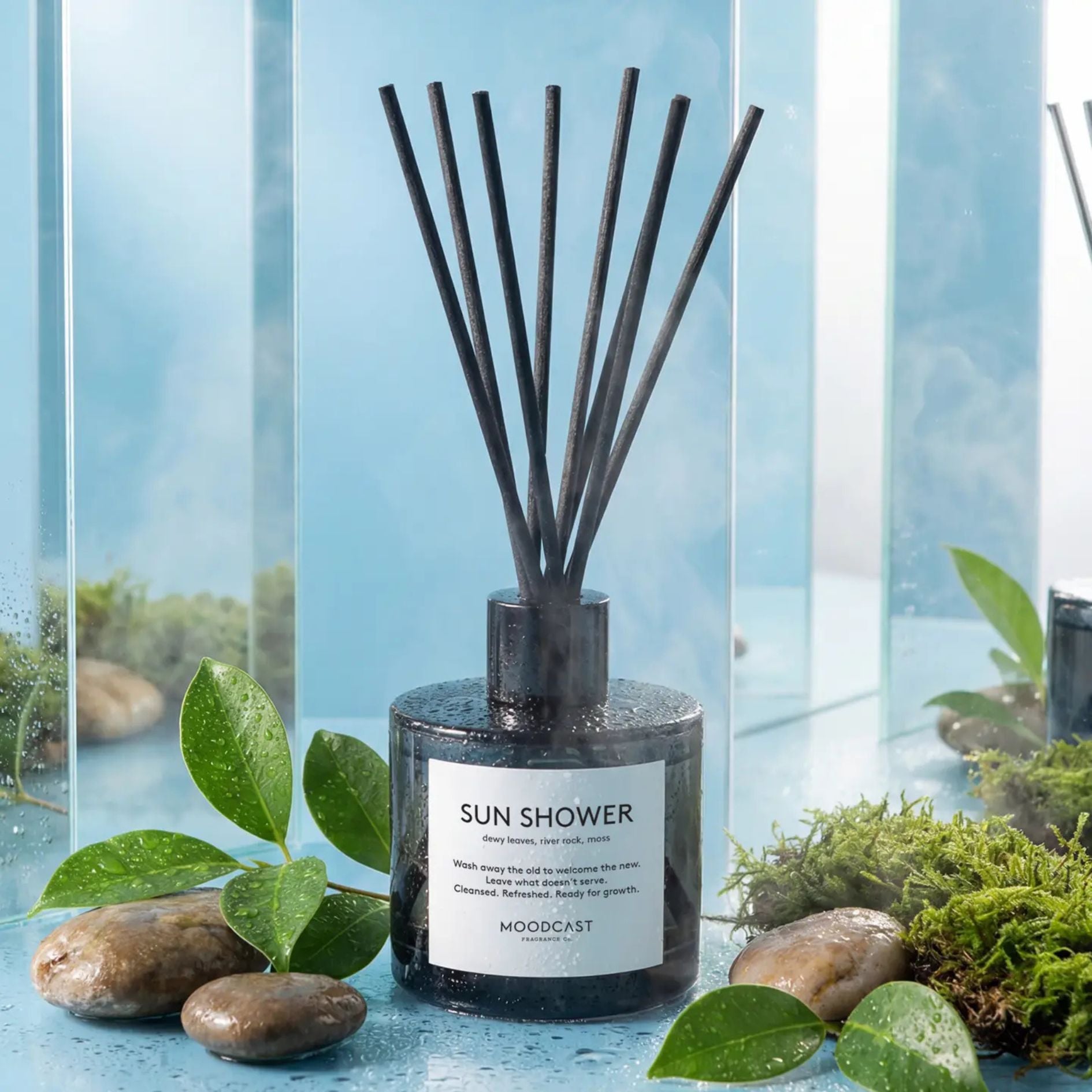 Sun Shower Diffuser