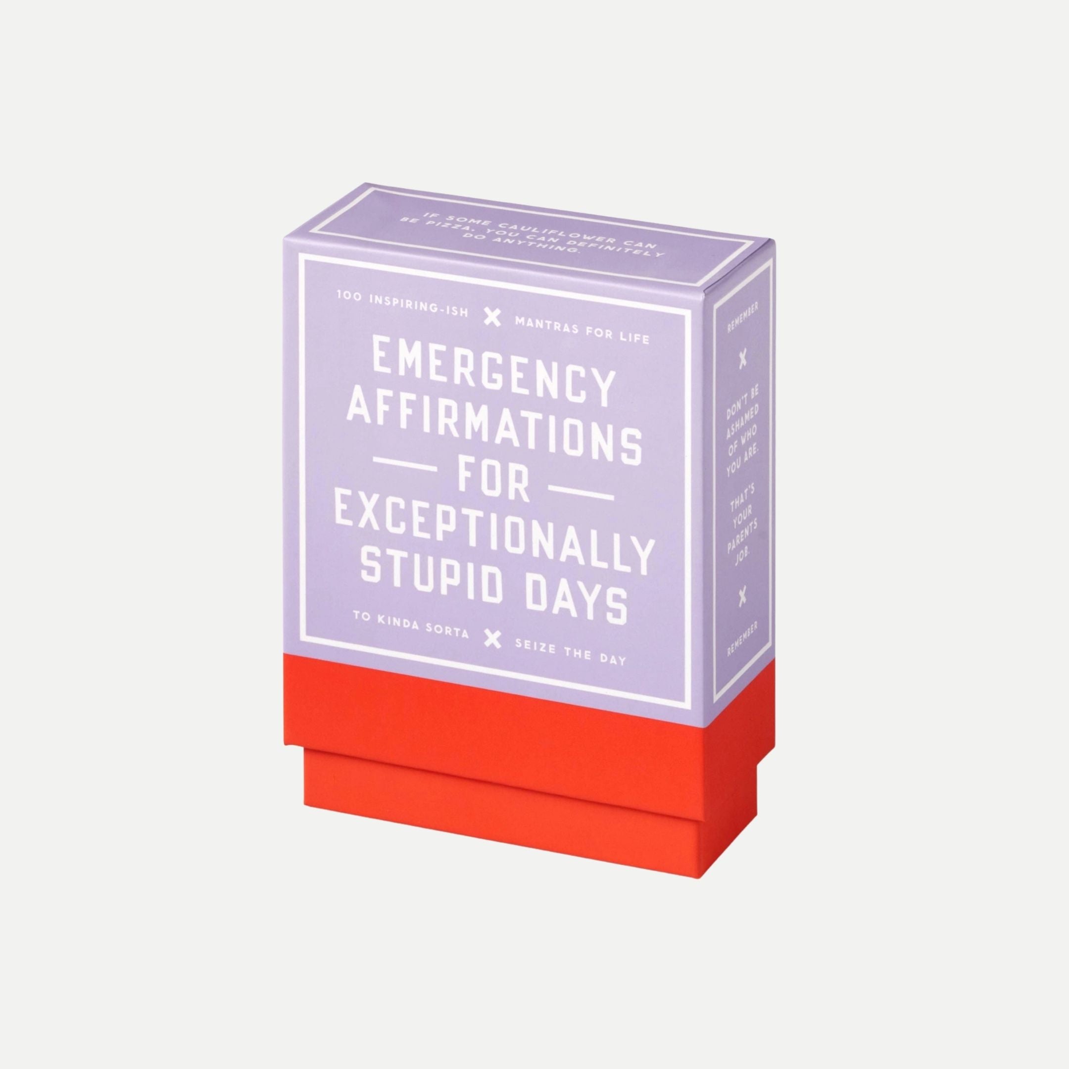 Emergency Affirmations For Exceptionally Stupid Days