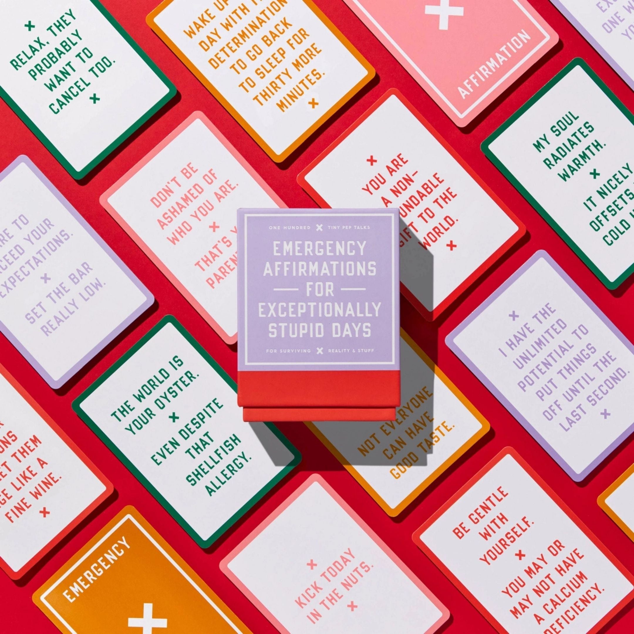 Emergency Affirmations For Exceptionally Stupid Days
