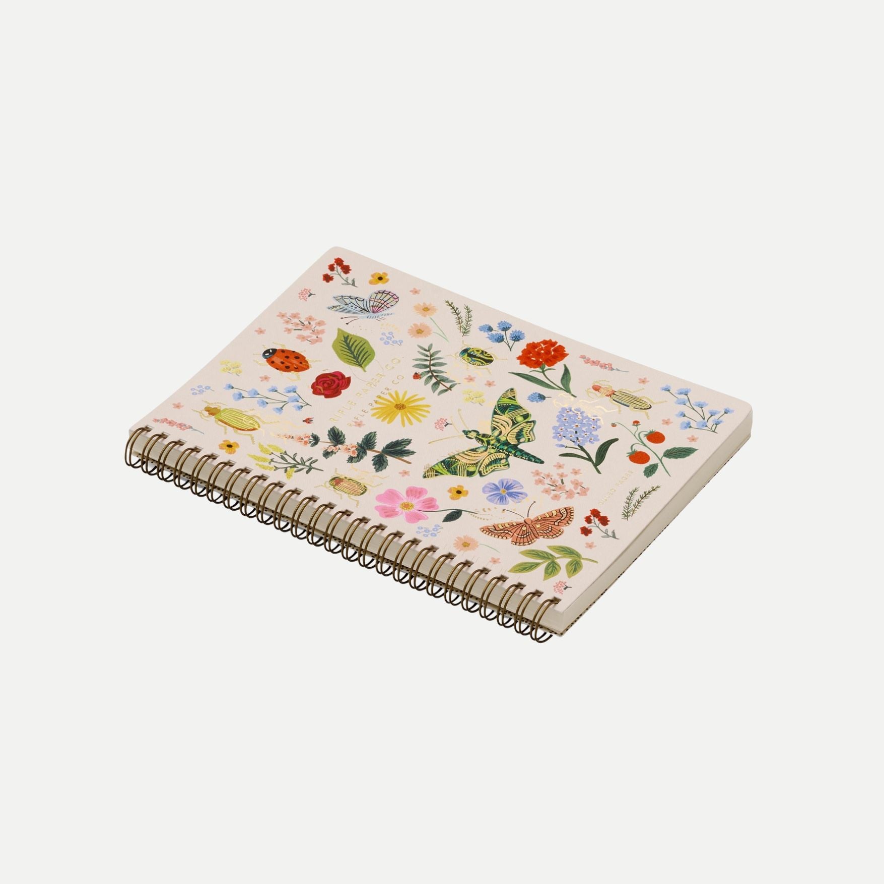 Curio Spiral Notebook